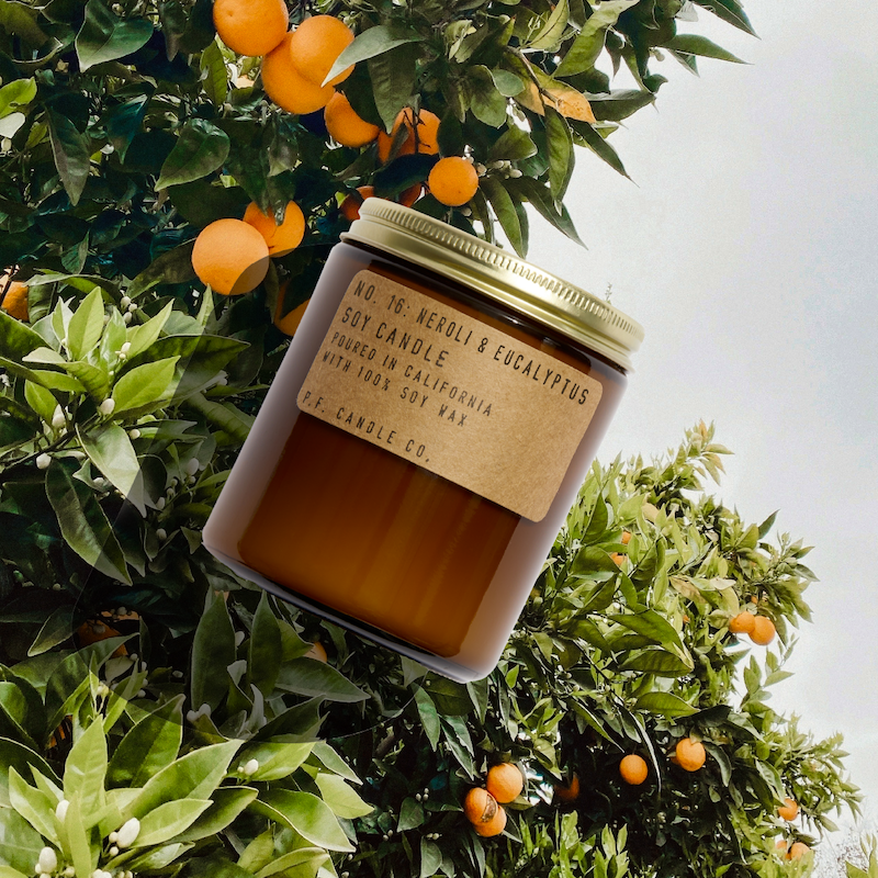 *LIMITED* Neroli & Eucalyptus- 7.2 oz Soy Candle