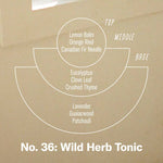 Load image into Gallery viewer, *LIMITED* Wild Herb Tonic - Large Concentrated Candle
