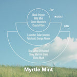Load image into Gallery viewer, Myrtle Mint - Alchemy Incense Cones
