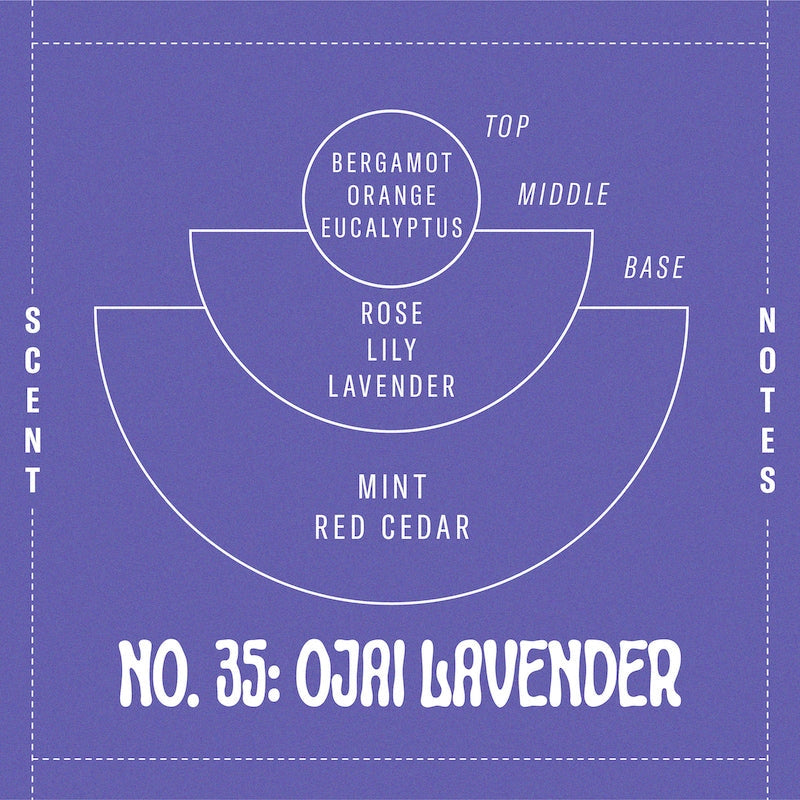 Ojai Lavender - 7.2 oz Standard Soy Candle