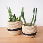 Load image into Gallery viewer, Honey Pot Basket: Runda-Large
