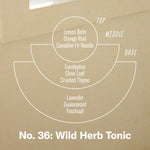 Load image into Gallery viewer, Wild Herb Tonic - 3.5 oz Mini Soy Candle
