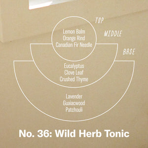 Wild Herb Tonic - 3.5 oz Mini Soy Candle