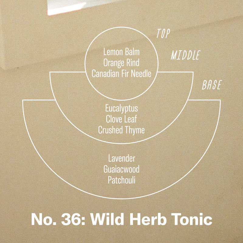 Wild Herb Tonic - 7.2 oz Standard Soy Candle