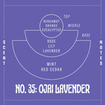 Load image into Gallery viewer, Ojai Lavender - Incense
